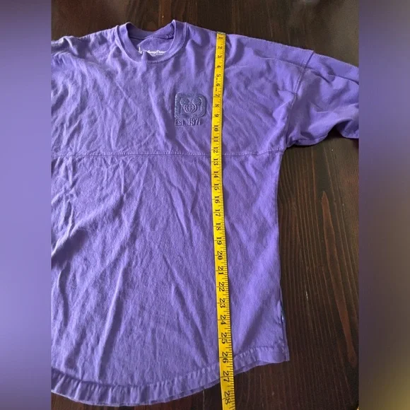 Walt Disney World | Potion Purple Spirit Jersey | Size X-Small - Picture 7 of 10